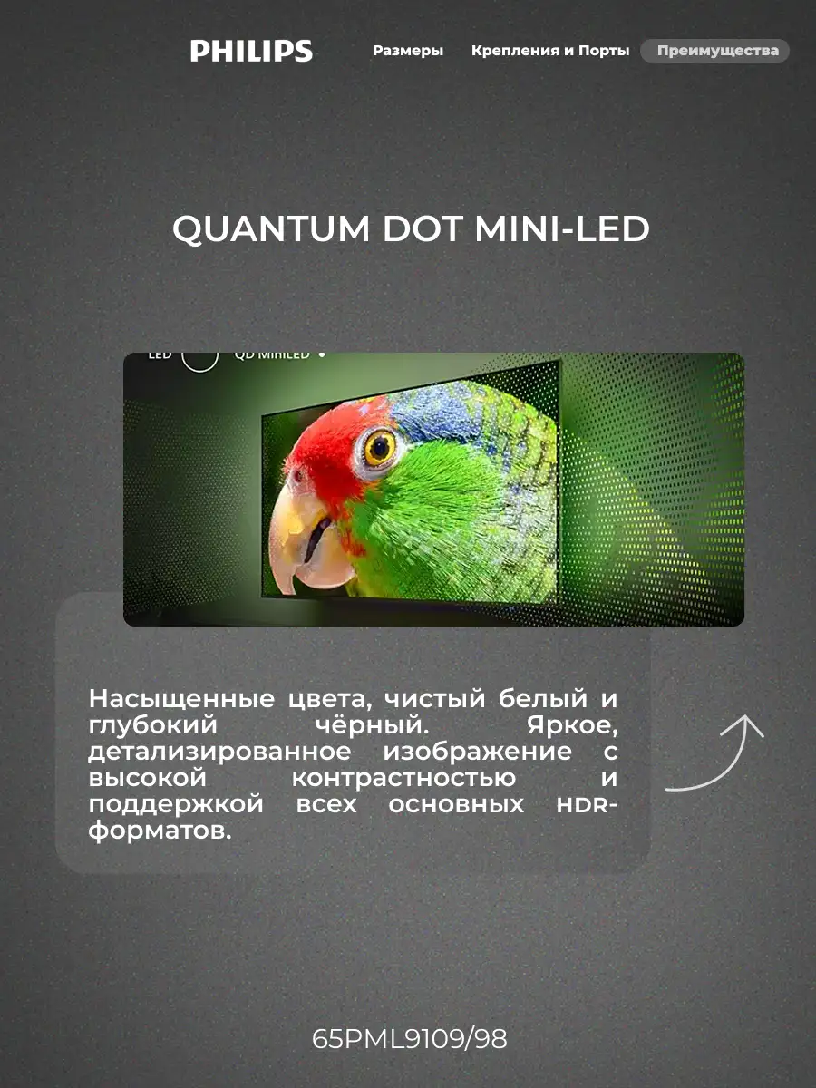 Mini LED телевизор Philips 65PML9109/98 - фото 8