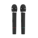 Микрофонная система Ritmix RWM-220