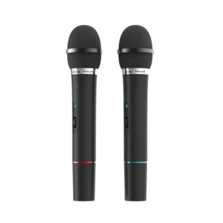 Микрофонная система Ritmix RWM-220