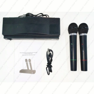 Микрофонная система Ritmix RWM-220