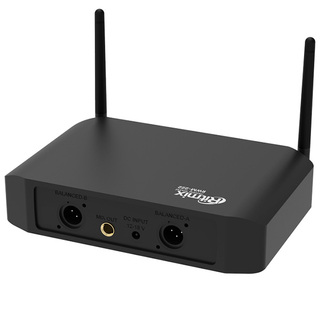 Микрофонная беспроводная система Ritmix RWM-222 - фото 4