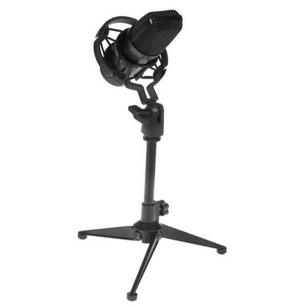 Студийный микрофон Ritmix RDM-160 Black - фото 2