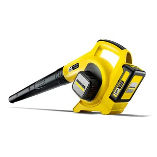 Аккумуляторная воздуходувка Karcher LBL 2 Battery set