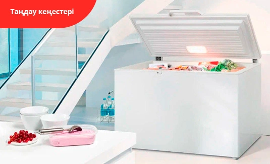 Мұздатқыш камерасы немесе ларлар? Айырмашылық неде?