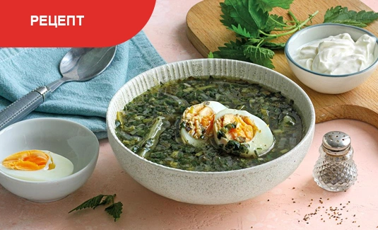 Рецепт зеленого борща с щавелем