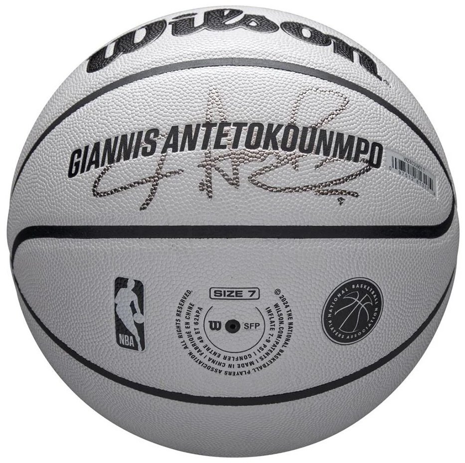 Мяч Wilson NBA Player Icon UV Giannis WZ4030901XB7 для баскетбола размер 7 - ForteMarket Мяч Wilson NBA Player Icon UV Giannis WZ4030901XB7 для баскетбола размер 7 купить,29900