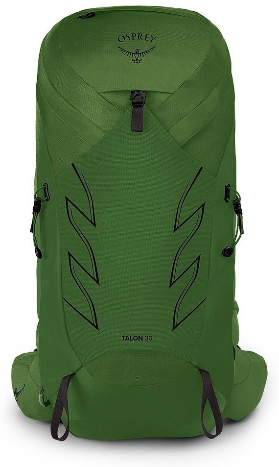 Рюкзак Osprey TALON 36 10005815 мультиспортивный 36 зеленый