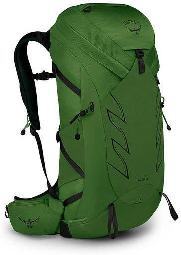 Рюкзак Osprey TALON 36 10005815 мультиспортивный 36 зеленый