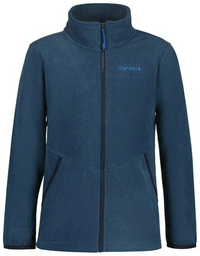 Флиска Icepeak синий