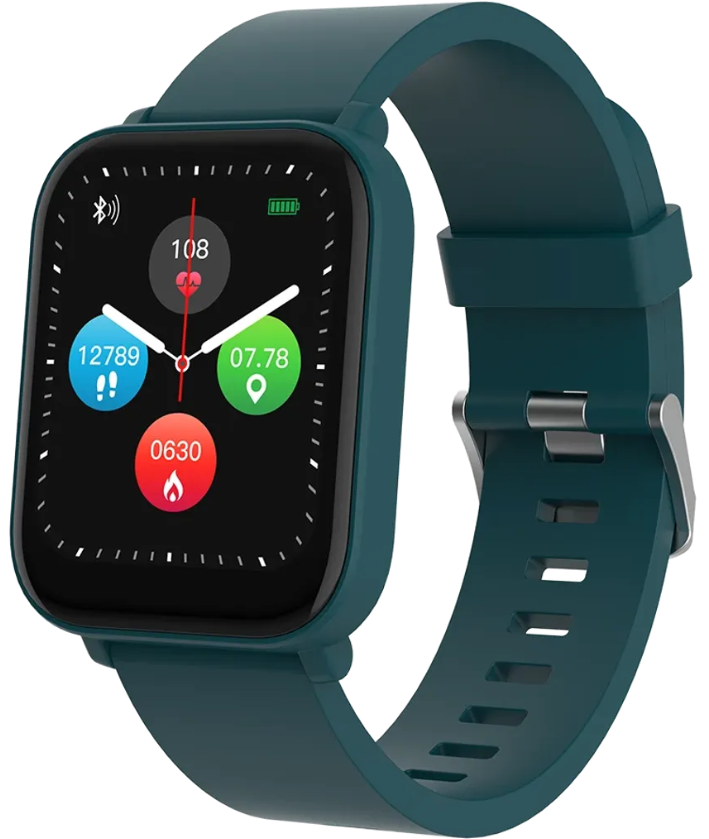 Смарт-часы Canyon Easy SW-54 CNS-SW54BG зеленый купить,NaN