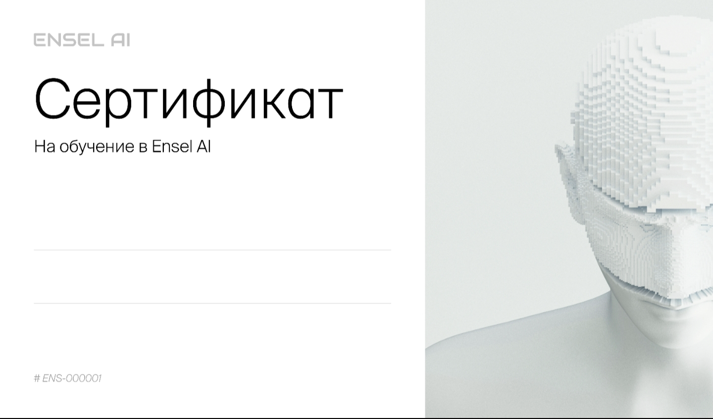 Сертификат по обучению Ensel AI  купить,NaN