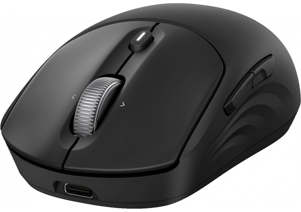 Мышь HP 700 черный купить,24140