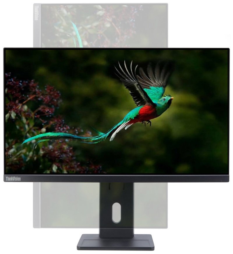 Монитор 23.8" Lenovo ThinkVision E24q-30 63ECGAT2EU черный купить,NaN