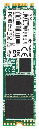 SSD Transcend TS256GMTS970TI-VS1 256 Гб купить,NaN