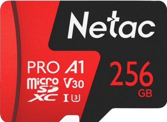 Карта памяти Netac P500 Extreme Pro NT02P500PRO-256G-R 256 Гб купить,NaN