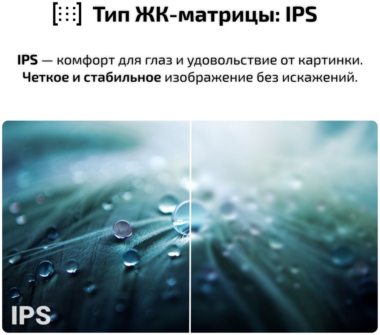 Монитор 23.8" Qmax 24UM50HDM черный