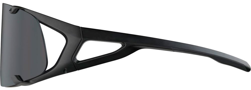 Спортивные очки ALPINA Hawkeye, A8692331-ALB черный