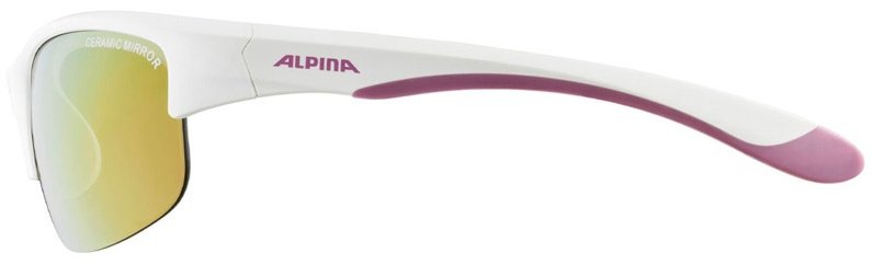 Спортивные очки Alpina A 8652 one size белый купить,NaN