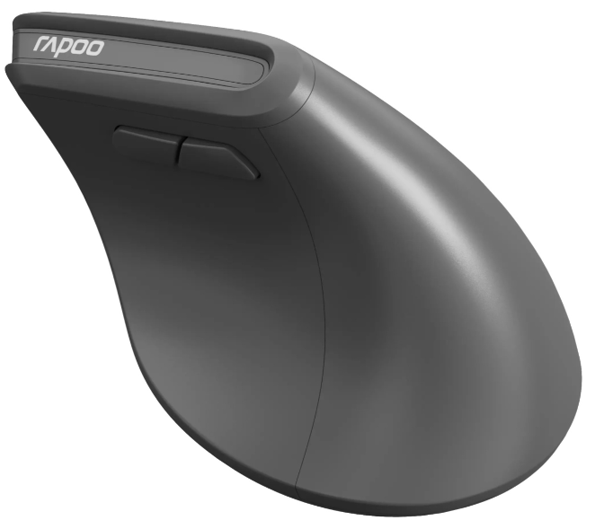 Мышь Rapoo EV310M черный - ForteMarket Мышь Rapoo EV310M черный купить,8800