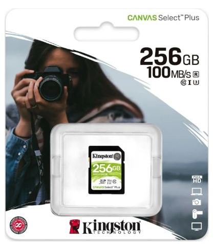 Карта памяти Kingston SDS2/256GB 256 Gb купить,NaN