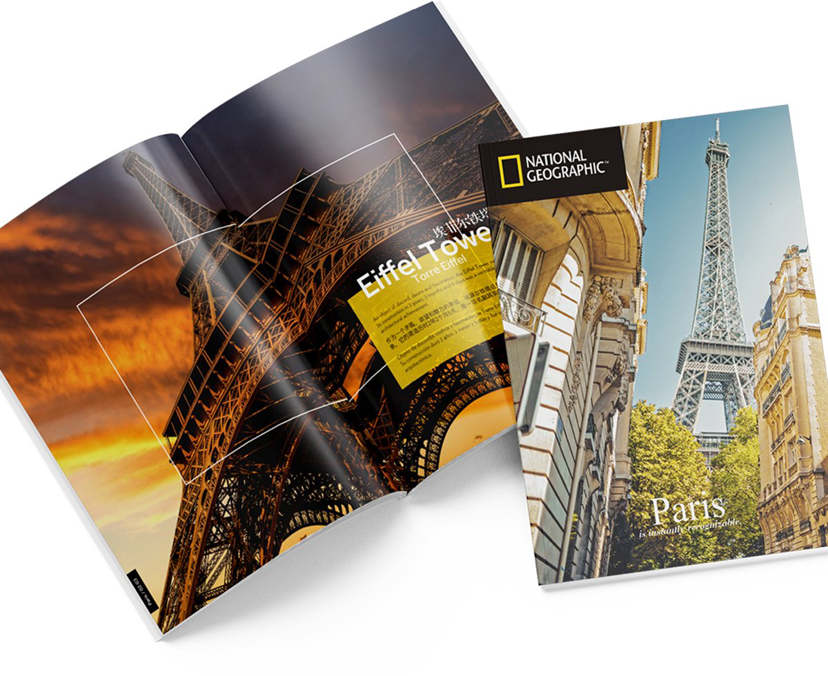 Пазлы CubicFun National Geographic Париж DS0998h 80 деталей  купить,NaN