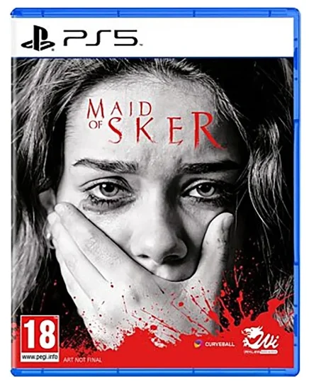 Игра для PS5 Maid of Sker