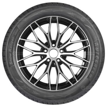 Autogreen SNOW RANGER AW09 315/35 R20 106 T без шипов купить,NaN