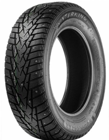 Double Star DoubleStar DW01 185/65 R15 88 T с шипами купить,NaN
