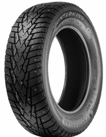 Double Star DoubleStar DW01 185/65 R15 88 T с шипами купить,NaN