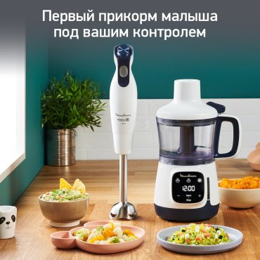 Блендер Moulinex Yummy Gourmet DD55W110 белый, черный - ForteMarket Блендер Moulinex Yummy Gourmet DD55W110 белый, черный купить,0
