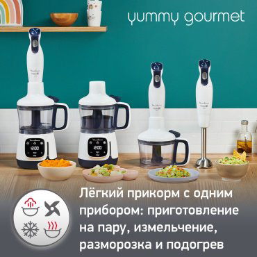 Блендер Moulinex Yummy Gourmet DD55W110 белый, черный купить,NaN