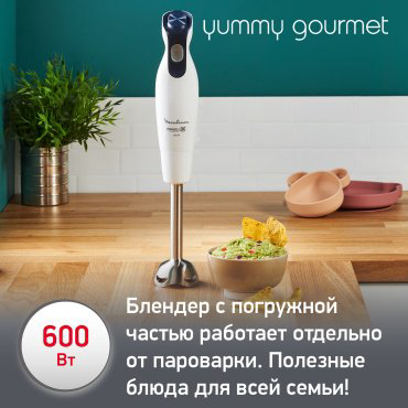 Блендер Moulinex Yummy Gourmet DD55W110 белый, черный купить,NaN