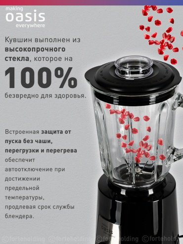Блендер Oasis ST-120B черный - ForteMarket Блендер Oasis ST-120B черный купить,0