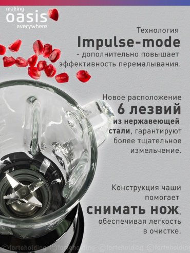 Блендер Oasis ST-120B черный - ForteMarket Блендер Oasis ST-120B черный купить,0