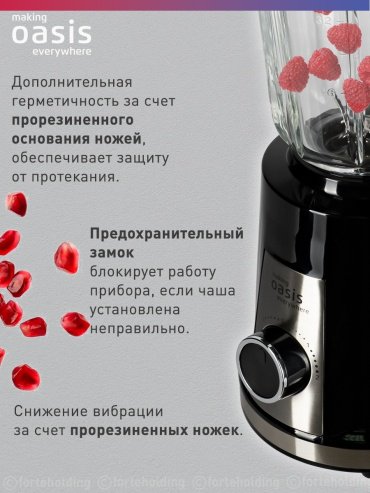Блендер Oasis ST-120B черный - ForteMarket Блендер Oasis ST-120B черный купить,0