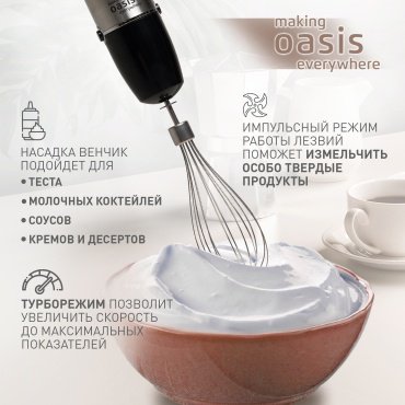 Блендер Oasis BL-100B стальной - ForteMarket Блендер Oasis BL-100B стальной купить,0