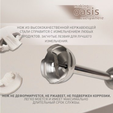 Блендер Oasis BL-100B стальной - ForteMarket Блендер Oasis BL-100B стальной купить,0