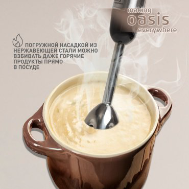 Блендер Oasis BL-100B стальной купить,NaN