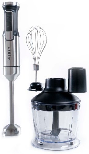 Блендер Weber HB-2880T серебристый - ForteMarket Блендер Weber HB-2880T серебристый купить,0