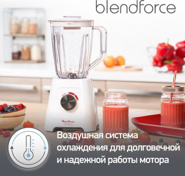 Блендер Moulinex BlendForce 2 LM420110 белый купить,22990