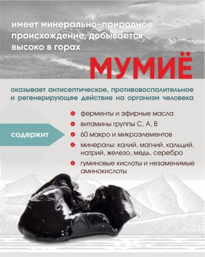 Алтайский кедр Мумичага таблетки 100 шт купить,NaN