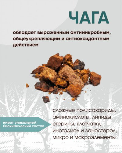 Алтайский кедр Мумичага таблетки 100 шт купить,NaN