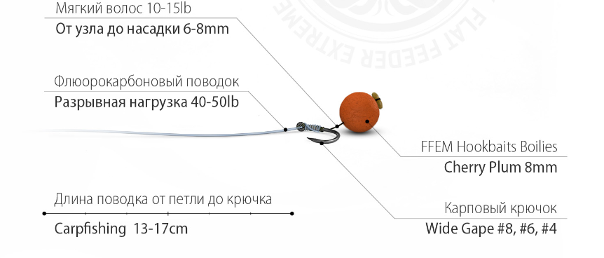 Бойлы вареные FFEM Hookbaits Boilies Cherry Plum 8 мм 100 гр купить,NaN