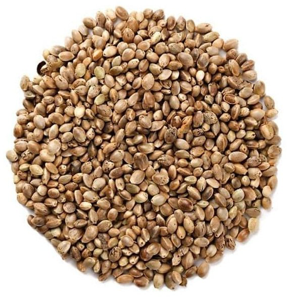 Прикормка TEXX Carp XX 0155 Натуральный конопля 1 кг купить,NaN