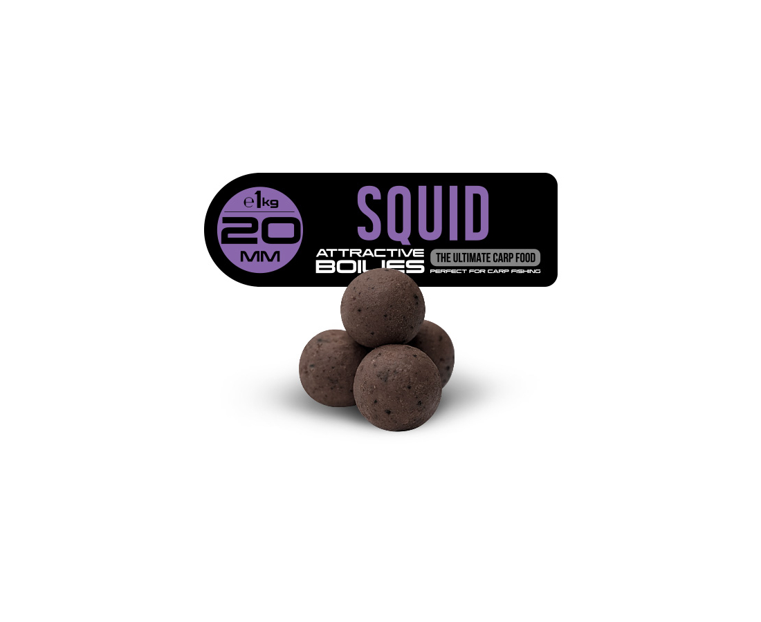 Бойлы вареные FFEM Ajika Boilies Squid 20 мм 1 кг  купить,NaN