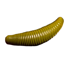 Приманка силиконовая Trout Baits Jara Bruchi 40 Сыр 29