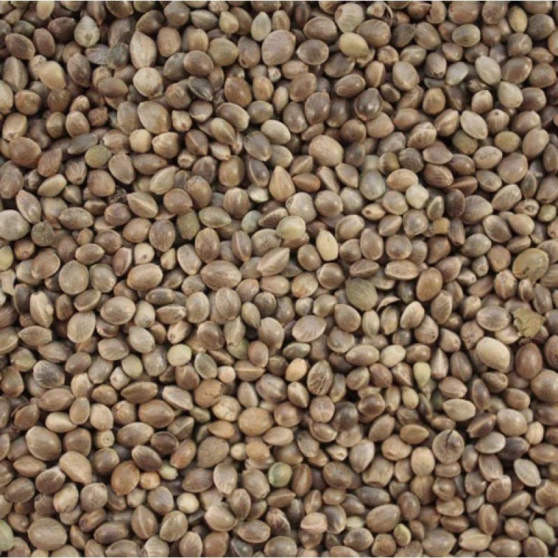 Прикормка FishXsize STKU2021 КОНОПЛЯ 1 кг купить,NaN
