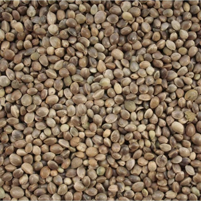 Прикормка FishXsize STKU2021 КОНОПЛЯ 1 кг купить,NaN