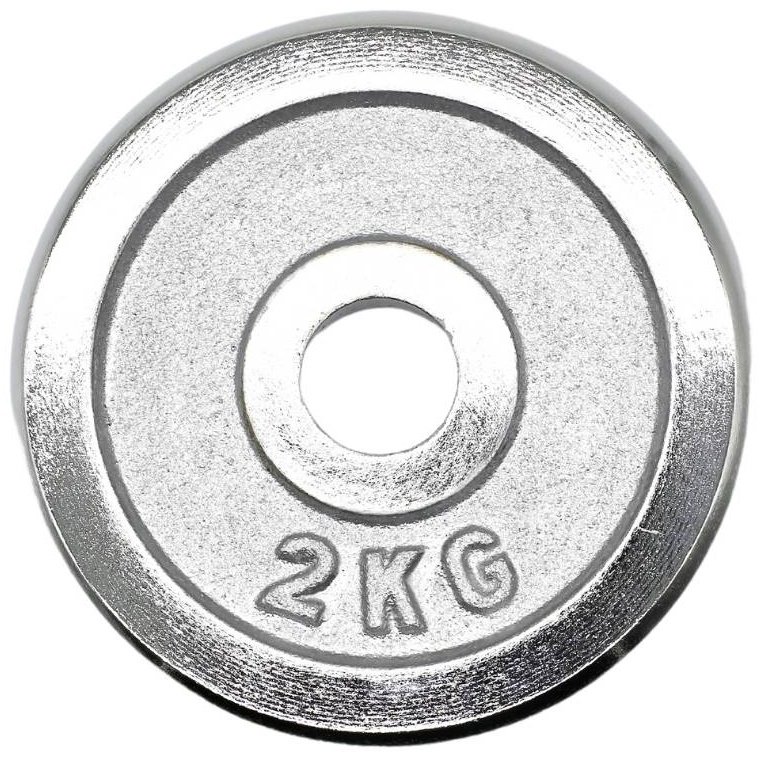 Диск HYGGE HG1003 2 кг купить,NaN