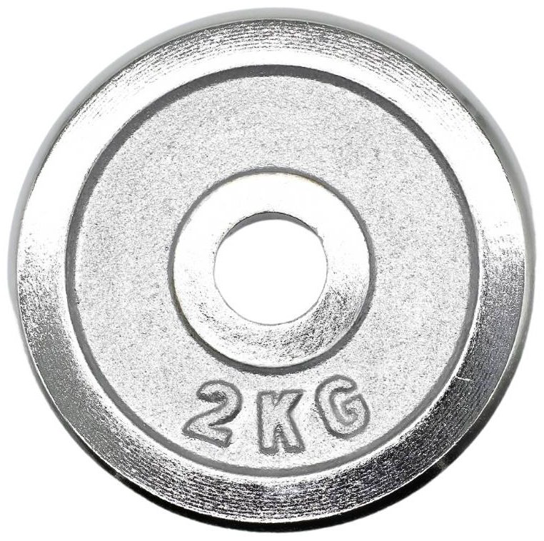 Диск HYGGE HG1003 2 кг купить,NaN